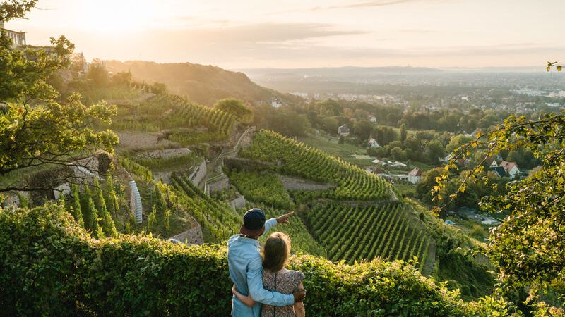 Blick über Weinberge Radebeul-(c)-Erik-Gross // View wineyards Radebeul-(c)-Erik-Gross