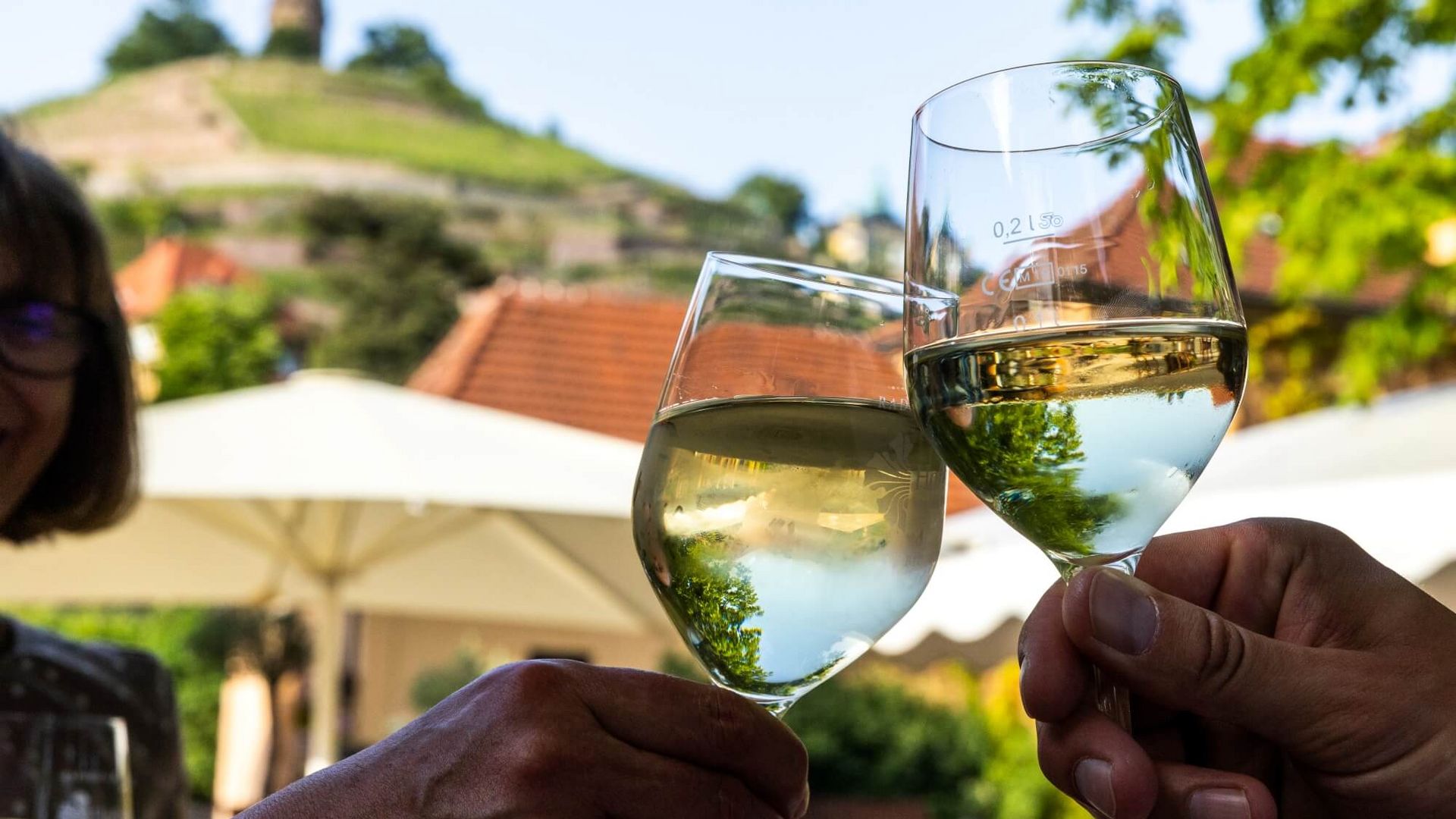 Weinterrassen in Radebeul / Wine Terraces in Radebeul