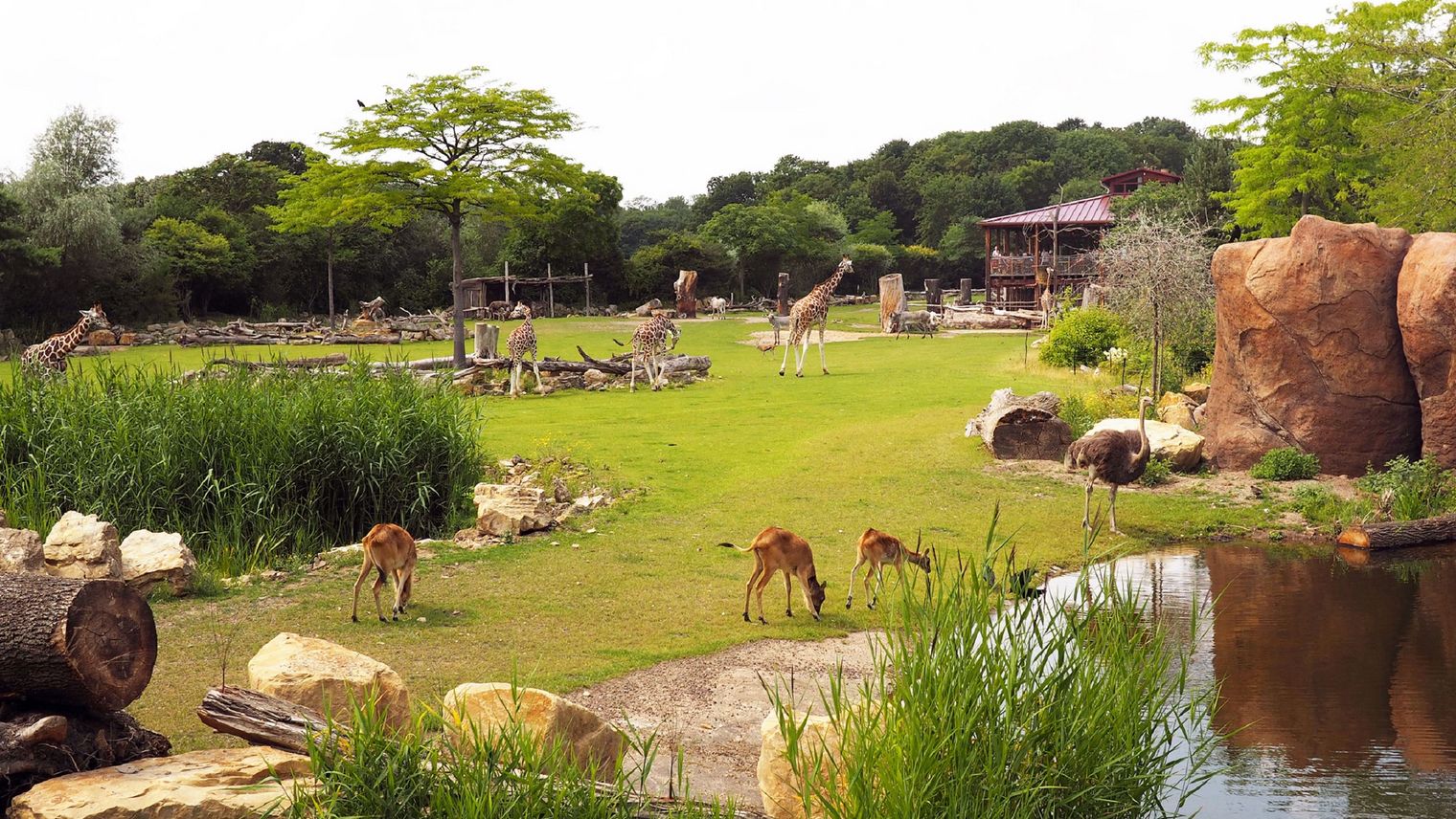 Zoo Leipzig Kiwara Savanne