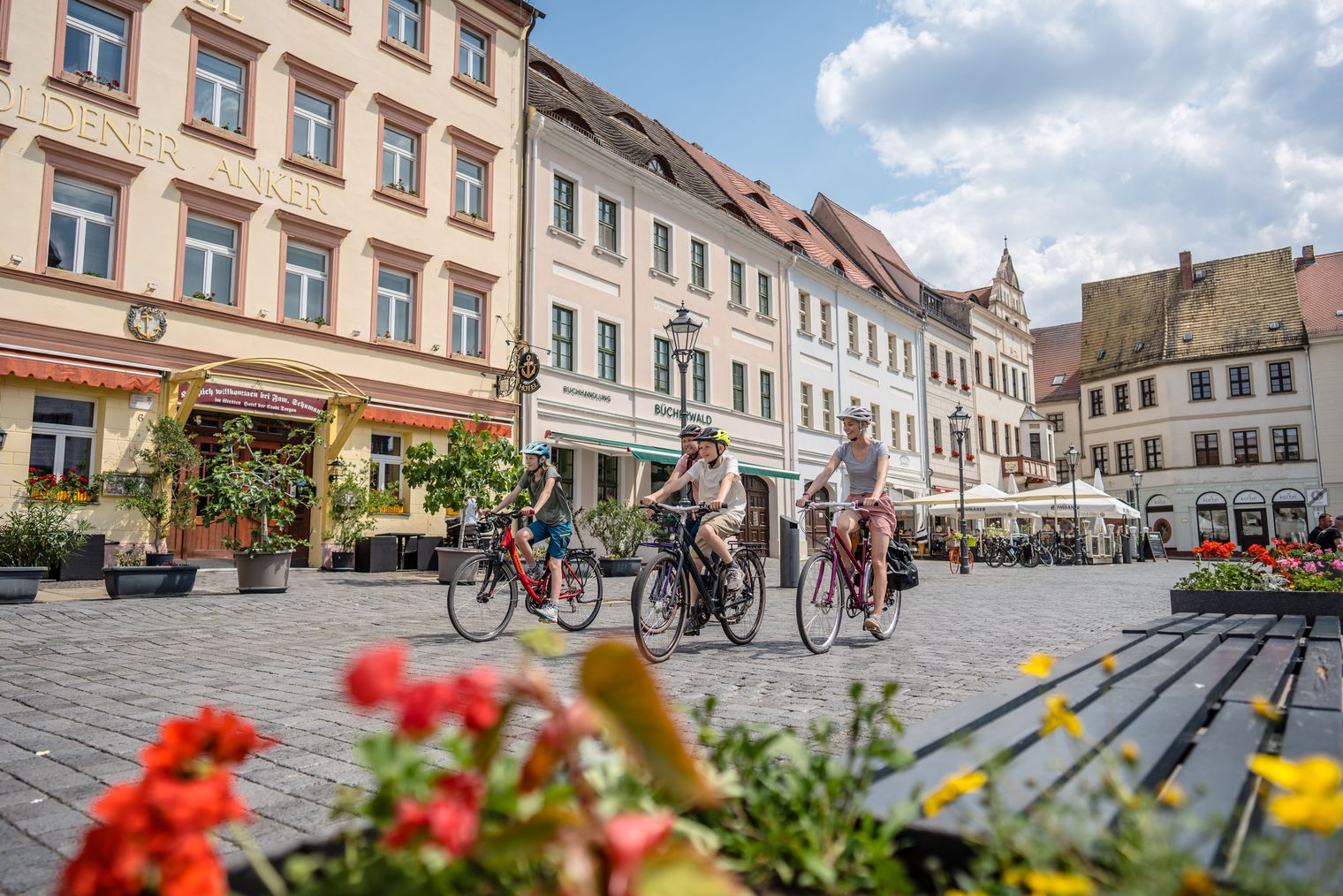 Elberadweg, Torgau