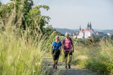 Sächsischer Weinwanderweg, Schönste Weinsicht 2016 Meissen