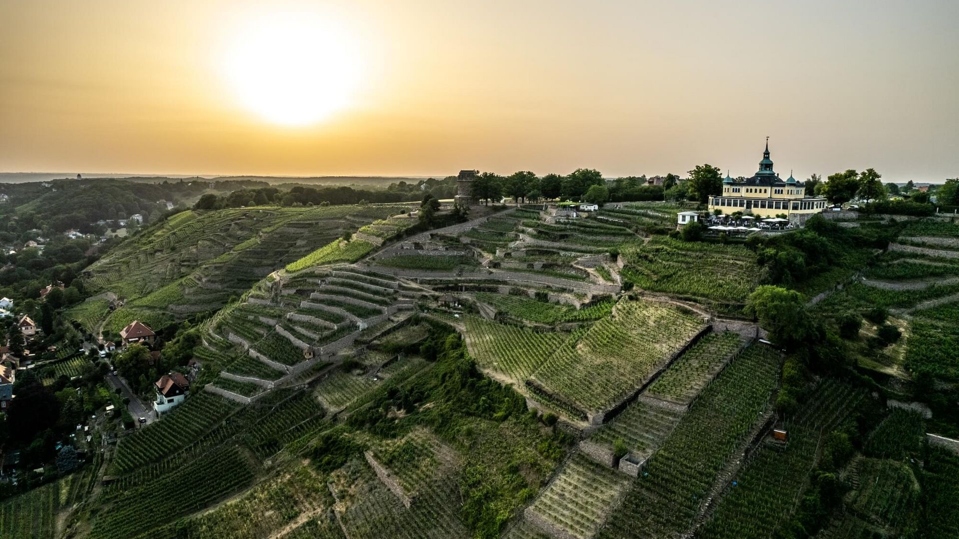 Weinterrassen in Radebeul / Wine Terraces in Radebeul