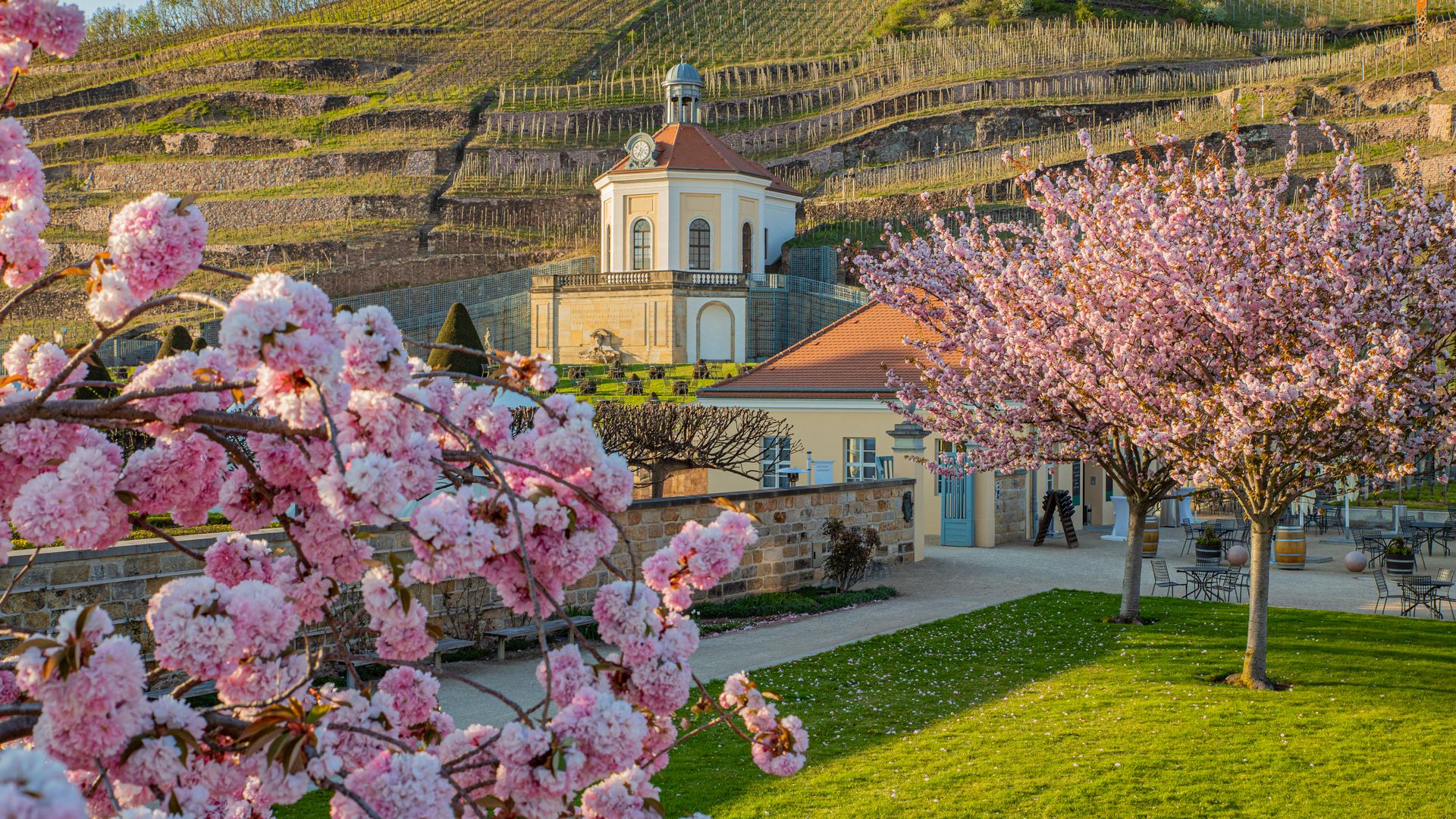 Frühling auf Schloss Wackerbarth // Castle Wackerbarth in Radebeul in springtime
