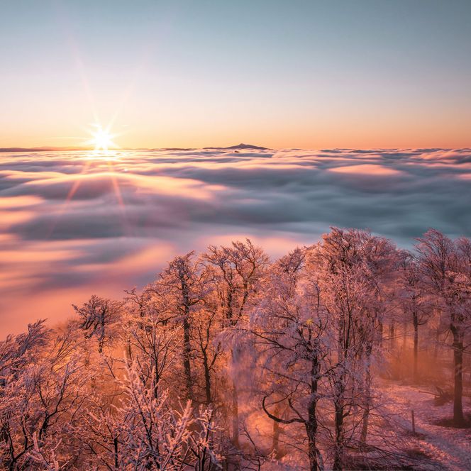 Winterzauber in der Oberlausitz