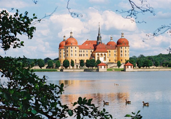 Blick auf den Schlossteich im Vordergrund und dem Schloss Moritzburg im Hintergrund