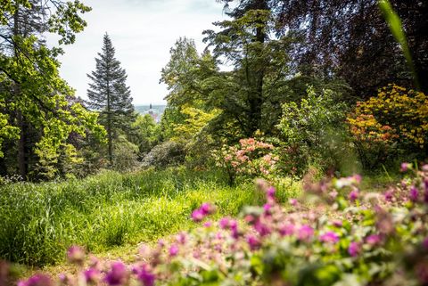 Kamenz Rhododentronpark