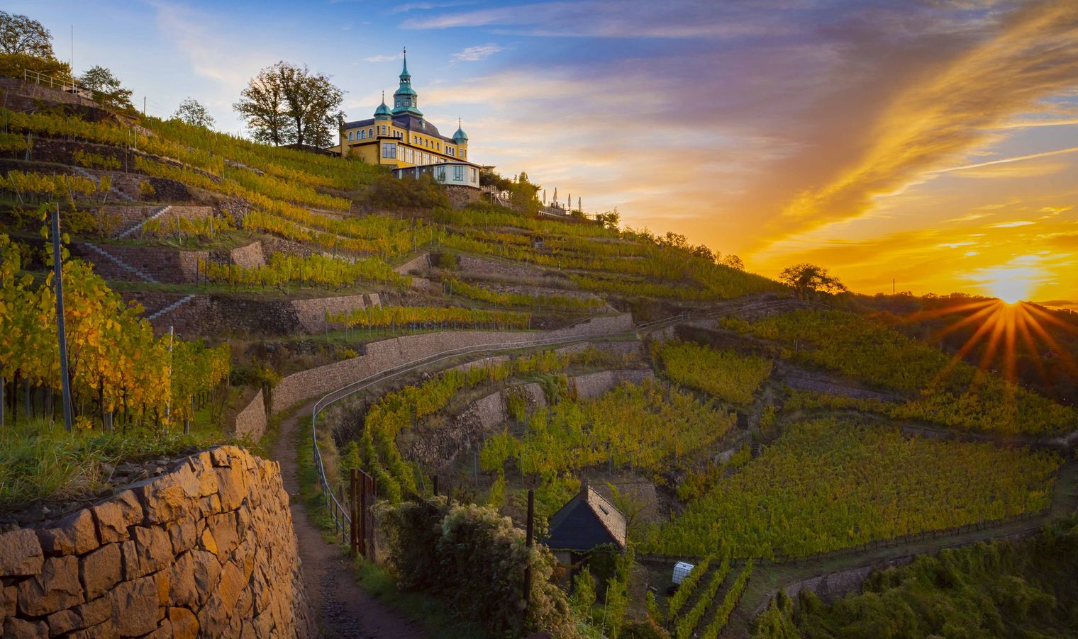 Sächsischer Weinwanderweg, Radebeul, Blick auf die Weinberge und das Spitzhaus
