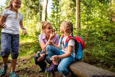 Eine Mutter mit zwei Mädchen geht wandern im Erzgebirge in Eibenstock. Sie machen Pause auf einem Baumstamm. 